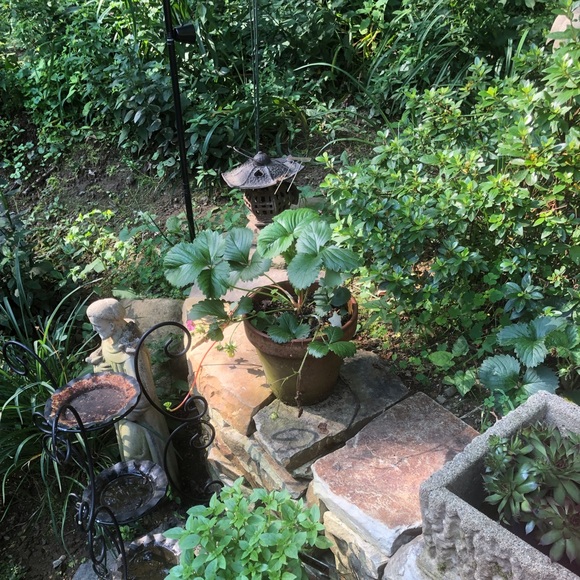 Meet your Posher, Therese Curran - Picture 5 of 6